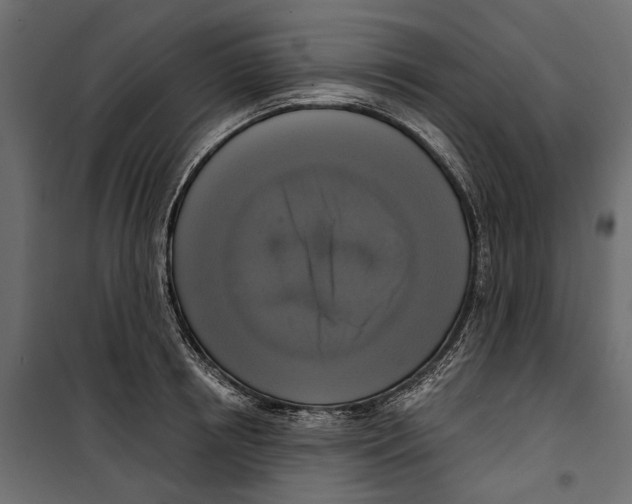 X0000099950850200806201311