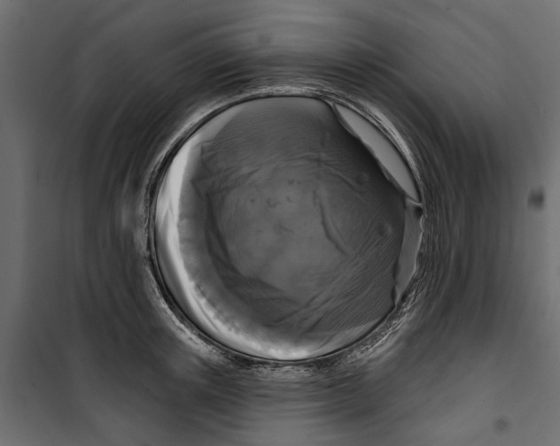 X0000099950851200806201311