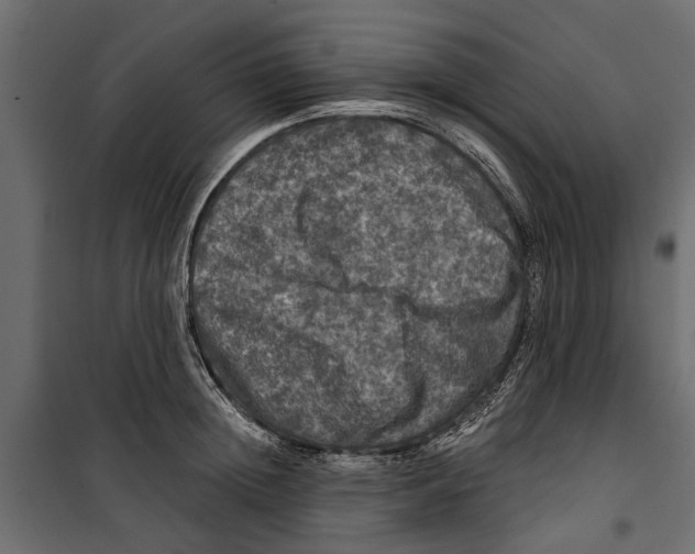 X0000099950852200806201311