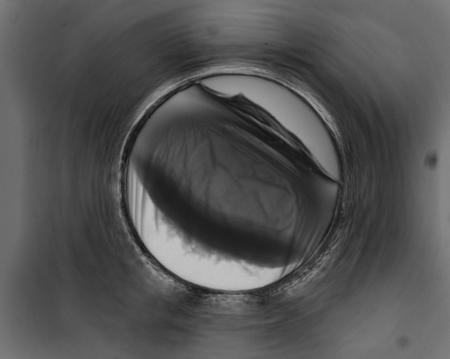 X0000099950853200806201311