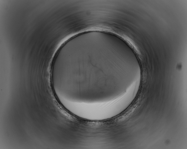 X0000099950854200806201311