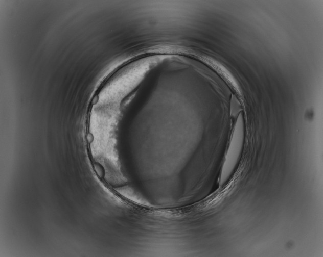 X0000099950855200806201311