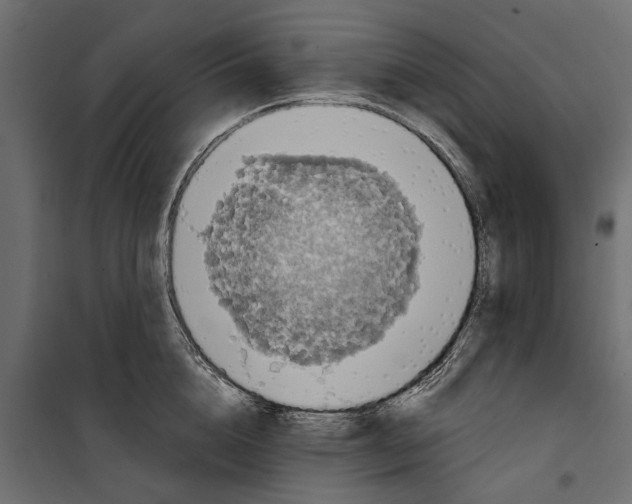 X0000099950856200806201311
