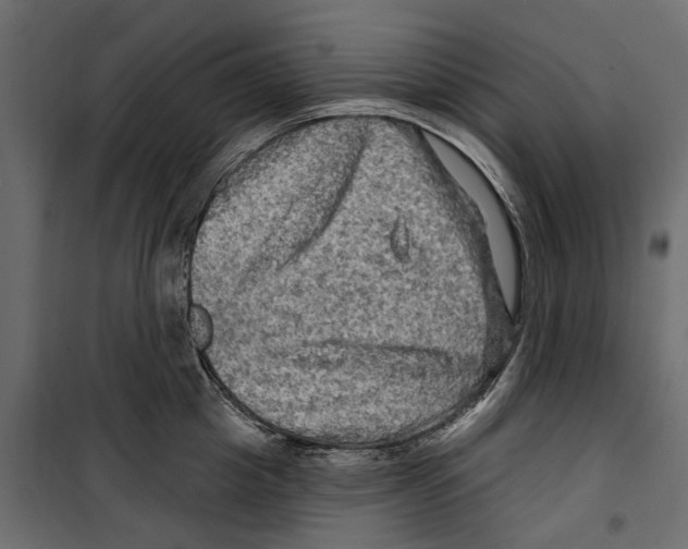 X0000099950857200806201311