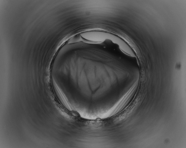 X0000099950858200806201311