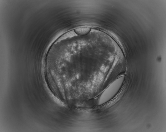 X0000099950859200806201311