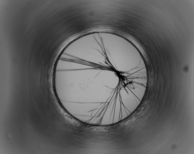 X0000099950861200806201311