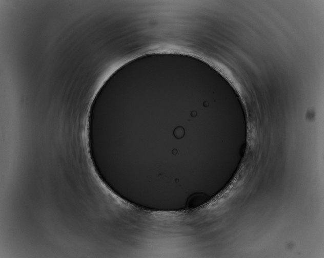 X0000099950863200806201311