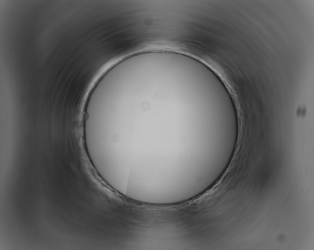 X0000099950864200806201311