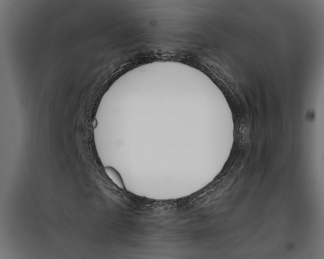 X0000099950865200806201310