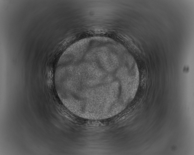 X0000099950866200806201310