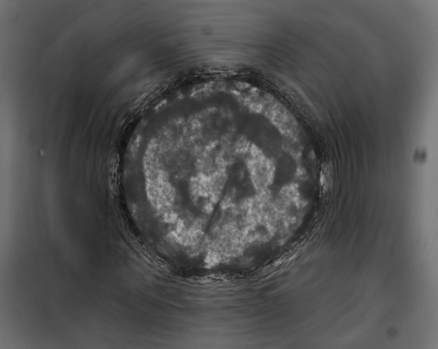 X0000099950867200806201310
