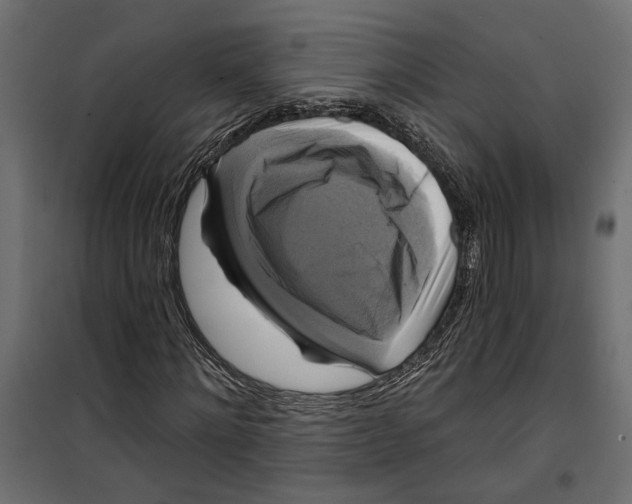 X0000099950868200806201310