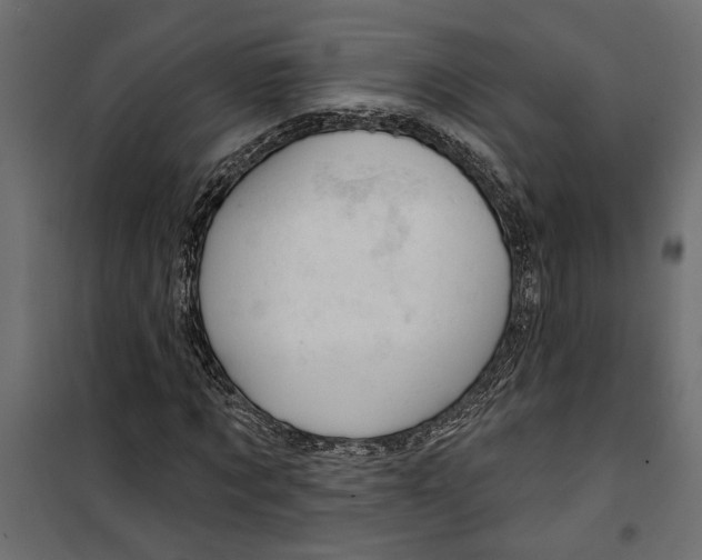 X0000099950869200806201310
