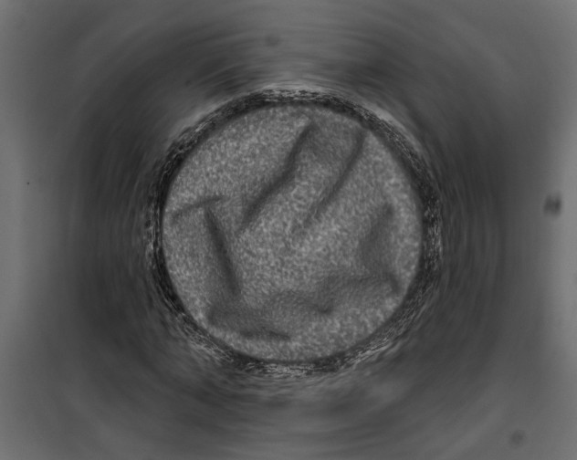 X0000099950870200806201310