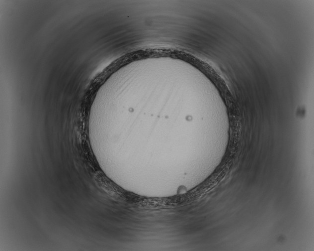 X0000099950871200806201310