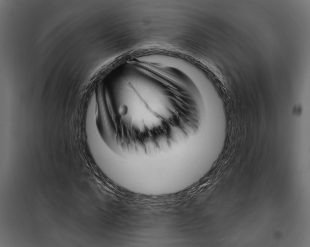 X0000099950872200806201310