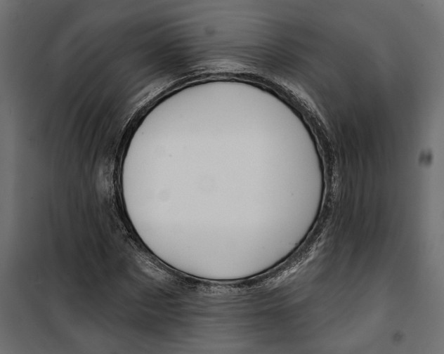 X0000099950873200806201310