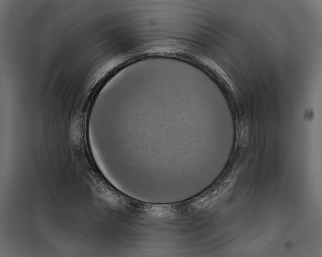 X0000099950874200806201310