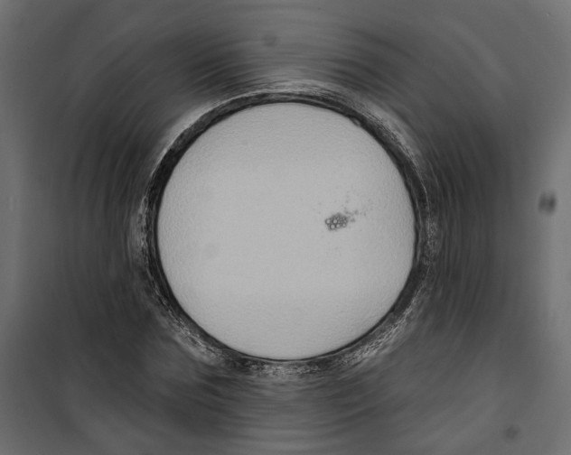 X0000099950875200806201310