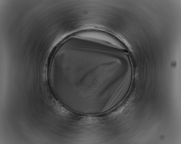X0000099950877200806201310