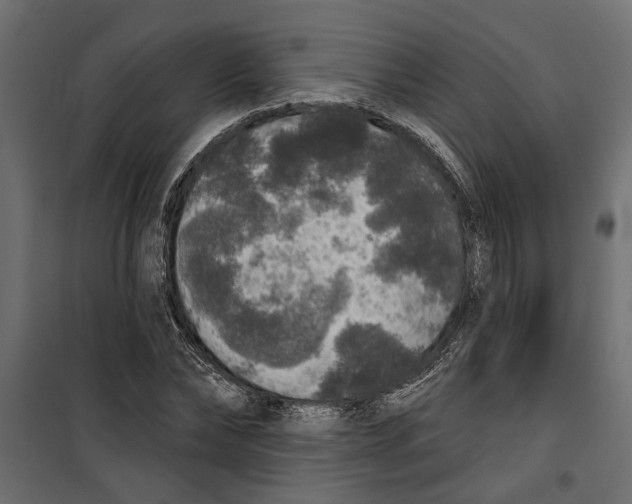 X0000099950878200806201310
