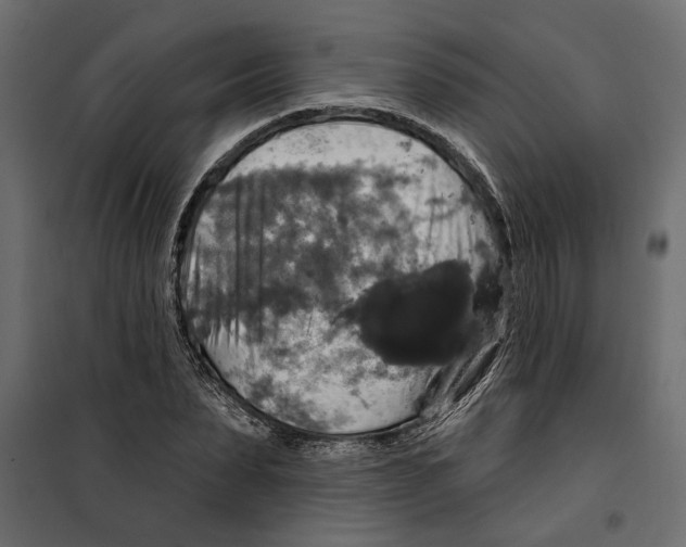 X0000099950879200806201310