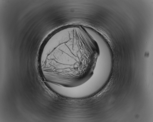 X0000099950880200806201310