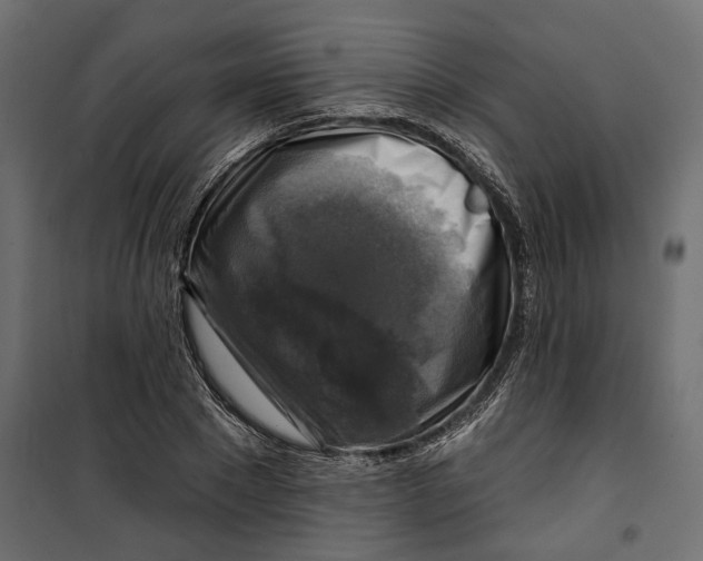 X0000099950881200806201310