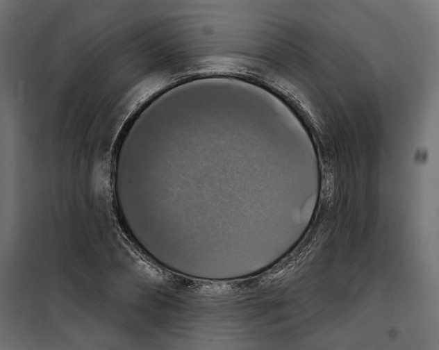 X0000099950882200806201310