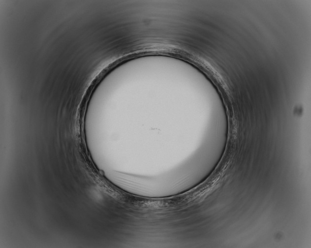 X0000099950883200806201310