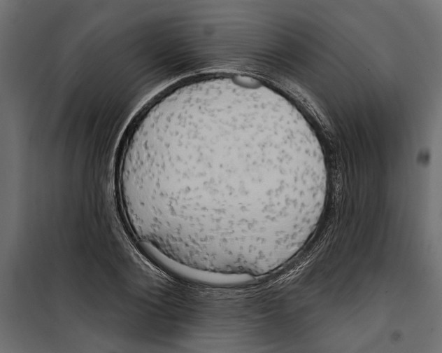 X0000099950884200806201310