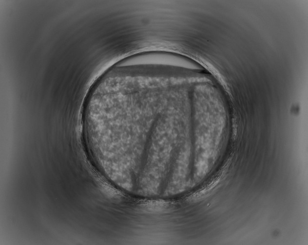 X0000099950885200806201310
