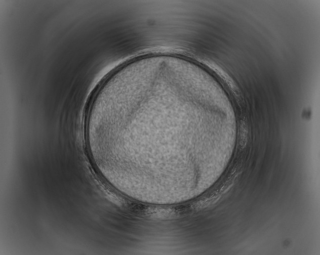X0000099950886200806201310