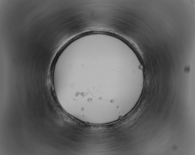 X0000099950887200806201310