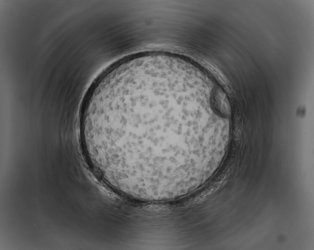 X0000099950888200806201310