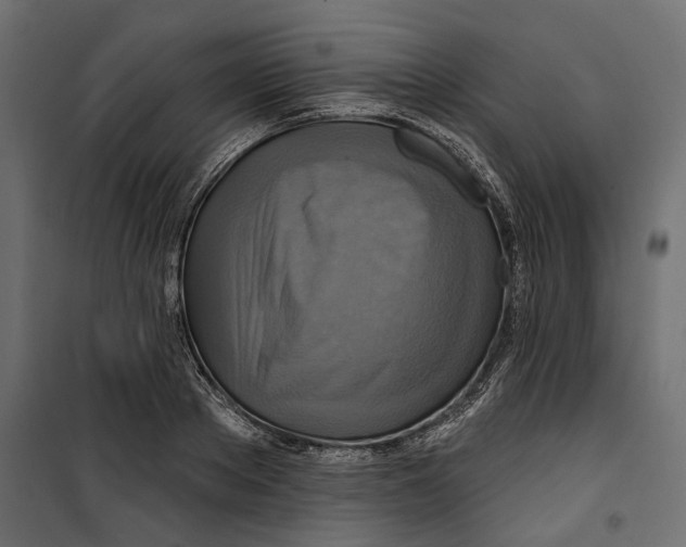 X0000099950889200806201310