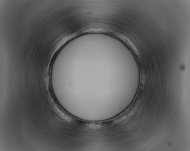 X0000099950890200806201310