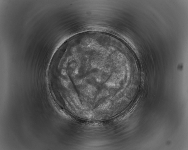 X0000099950891200806201310