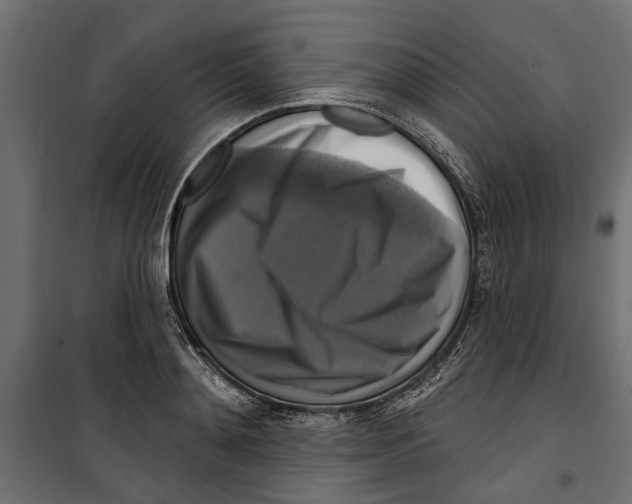 X0000099950892200806201310