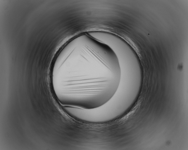 X0000099950893200806201310