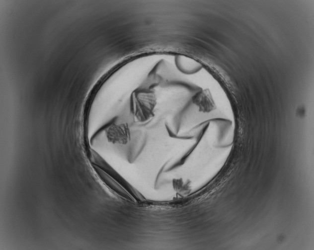 X0000099950894200806201310
