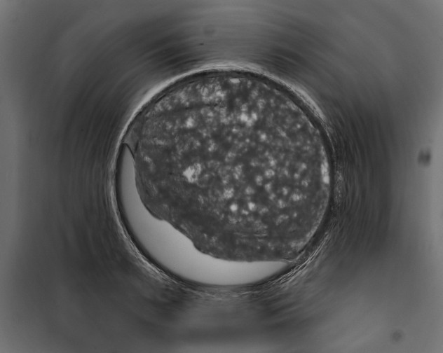 X0000099950895200806201310