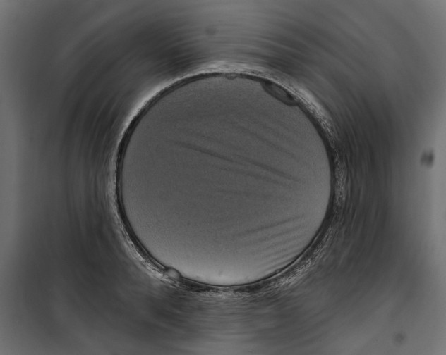 X0000099950896200806201310