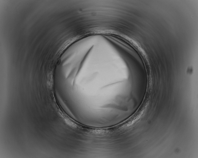 X0000099950897200806201310
