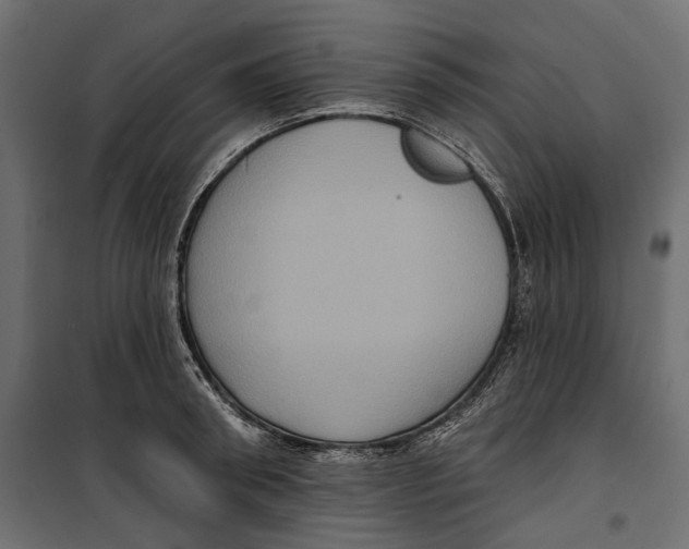 X0000099950898200806201310