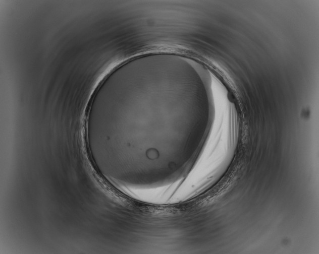 X0000099950899200806201310