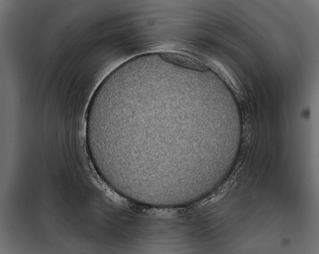 X0000099950900200806201310