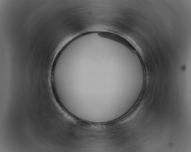 X0000099950901200806201310