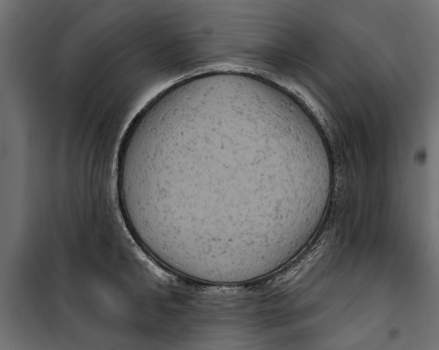 X0000099950902200806201310